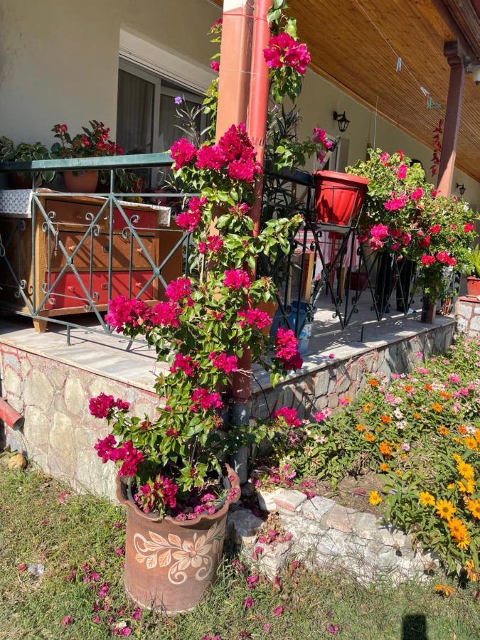 Agapi Hotel Órma Екстериор снимка